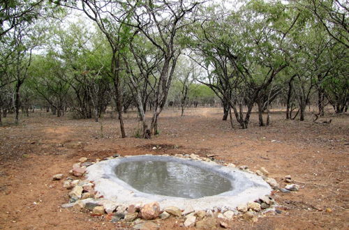 Photo 37 - Umvangazi Rest - Enjoy a Relaxing, Rejuvenating and Peaceful Setting in the Bush