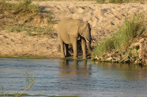 Foto 54 - Umvangazi Rest - Enjoy a Relaxing, Rejuvenating and Peaceful Setting in the Bush