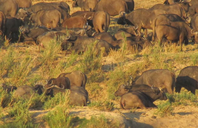Umvangazi Rest - Enjoy a Relaxing, Rejuvenating and Peaceful Setting in the Bush - Foto 20