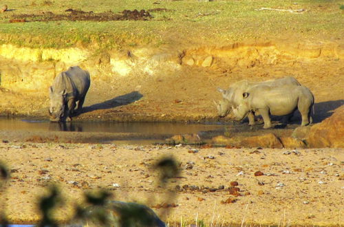 Foto 55 - Umvangazi Rest - Enjoy a Relaxing, Rejuvenating and Peaceful Setting in the Bush