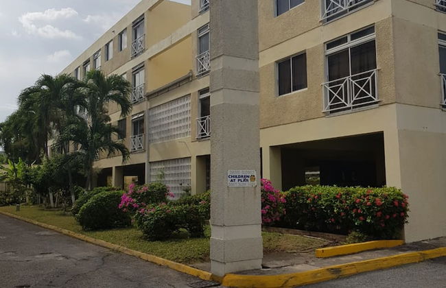 New Kingston Apt at Kensington Court - Photo 45