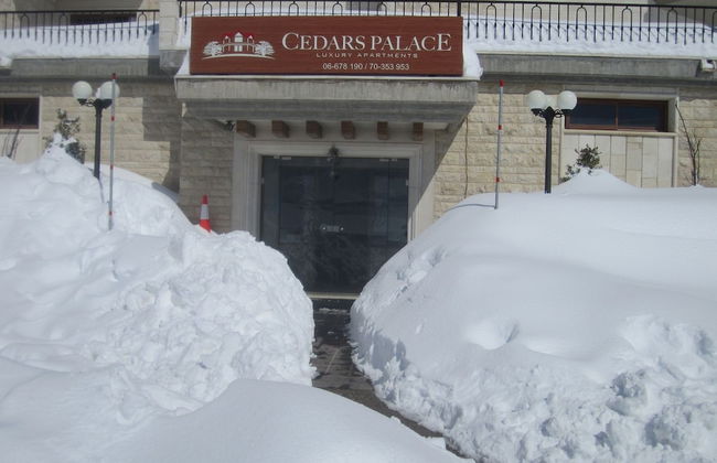 Cedars Palace - Foto 1