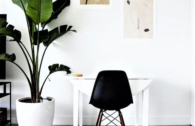 Cayman Luxury Rentals at The Grove - Foto 55