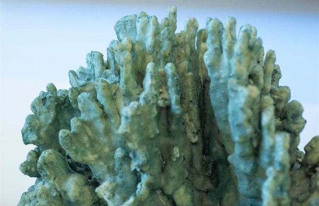 Cayman Luxury Rentals at The Grove - Foto 13