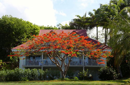 Photo 57 - Pierre & Vacances Residence Premium Les Tamarins