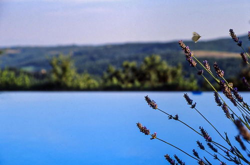 Photo 3 - Casa Bosco a Stone Mansion in Chianti