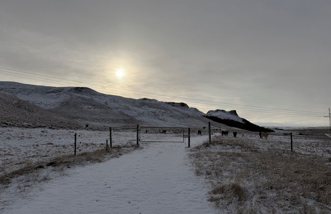 Au44 cottages - Arngrimslundur - Photo 65