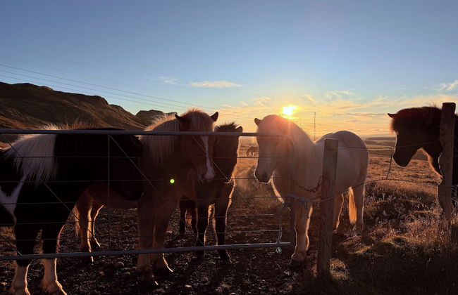 Au44 cottages - Arngrimslundur - Photo 67