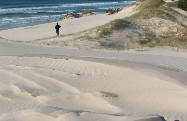 Seymour Waves - Foto 14