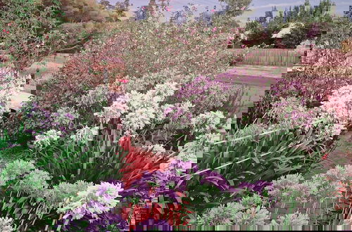 Photo 6 - Abelia Cottage of Daylesford Botanical