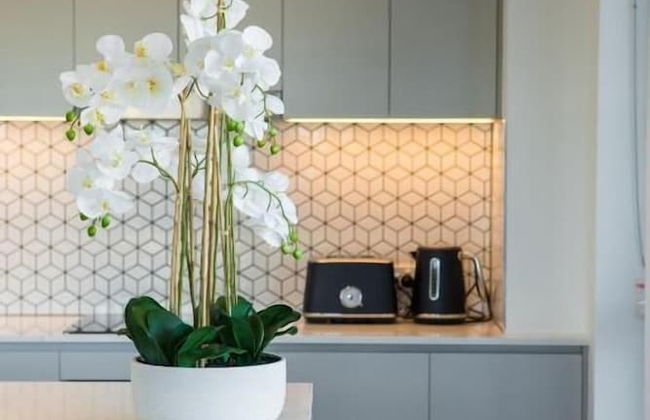 Inspire Boutique Apartments - Photo 8