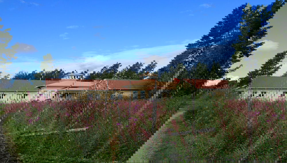 Primary image