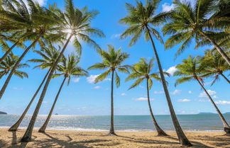 Foto 1 - Alamanda Palm Cove by Lancemore