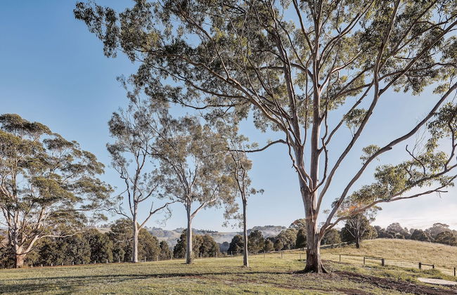 99 Acres Bangalow Retreat - Foto 35