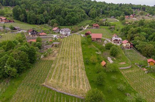 Photo 76 - Vineyard Homestead Vrtin