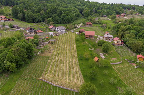 Foto 57 - Vineyard Homestead Vrtin