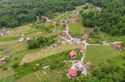 Photo 63 - Vineyard Homestead Vrtin