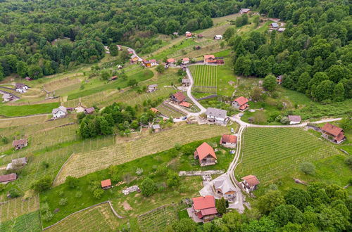 Photo 40 - Vineyard Homestead Vrtin