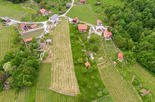 Photo 38 - Vineyard Homestead Vrtin