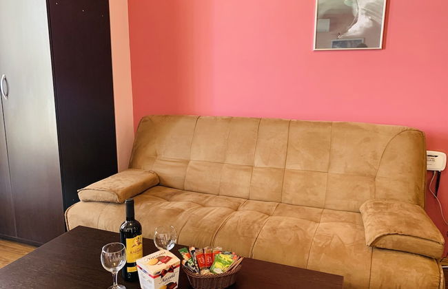 Beautiful Cosy Studio Apartment in Bansko - Foto 11