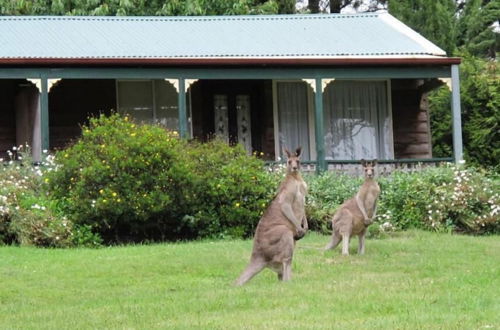 Photo 12 - Cedar Lodge Cabins