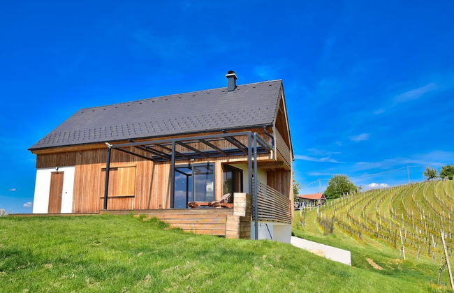 Vineyard Eco House Vukan - Foto 17