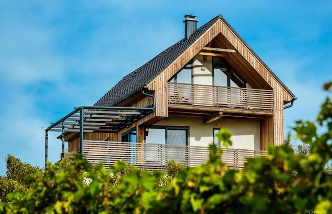 Vineyard Eco House Vukan - Foto 20