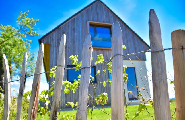 Vineyard Eco House Vukan - Foto 19