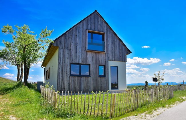 Vineyard Eco House Vukan - Foto 18