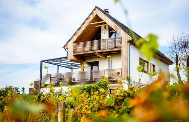 Vineyard Eco House Vukan - Foto 22