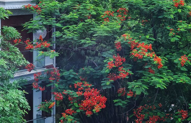 HB Serviced Apartment - 12 Tran Quy Kien - Foto 31