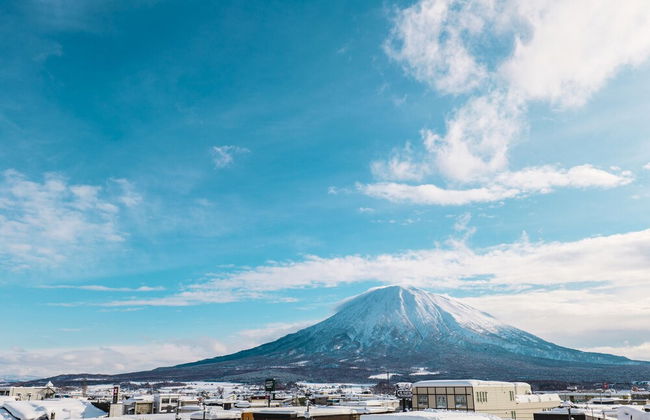 Stay Resort Niseko - Photo 26