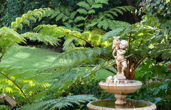 Aberdour Guesthouse - Foto 26