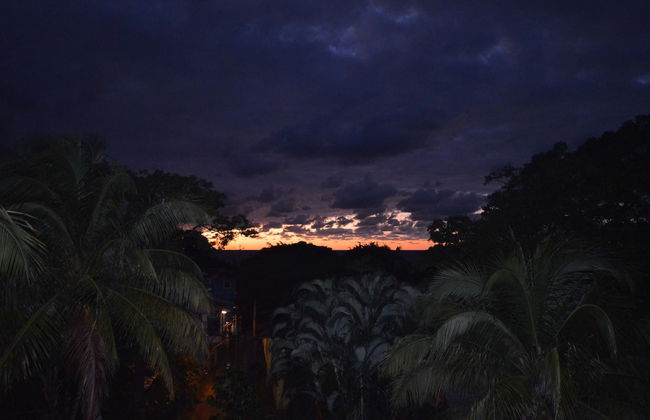 Mariposa Lodge - Photo 4