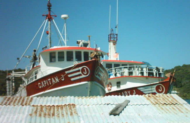 Mariposa Lodge - Photo 67