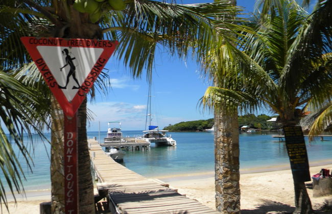 Mariposa Lodge - Photo 66