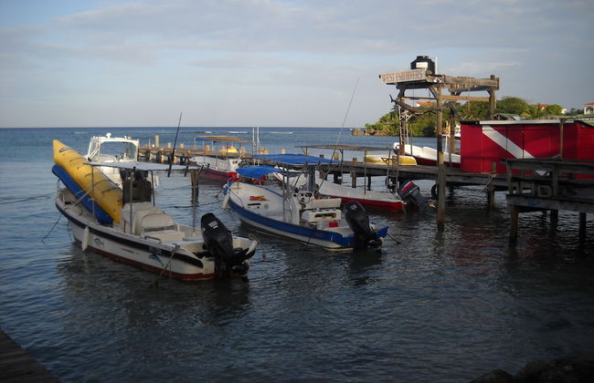 Mariposa Lodge - Photo 68