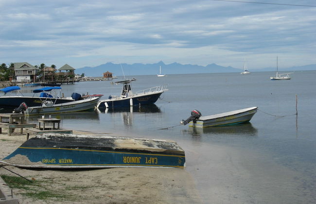 Mariposa Lodge - Photo 69