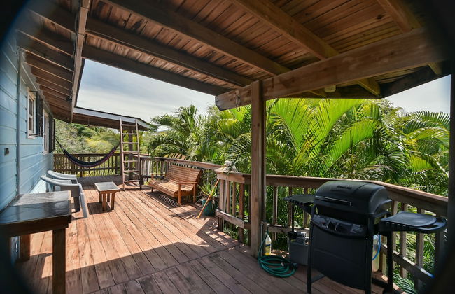 Mariposa Lodge - Photo 49