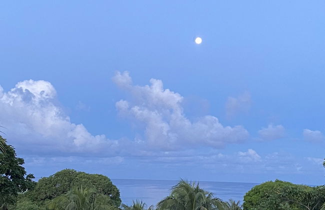 Mariposa Lodge - Photo 54