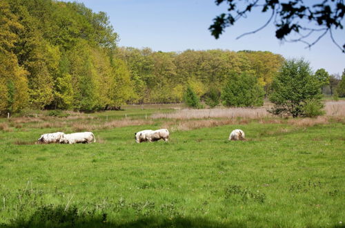 Foto 43 - Magnificent Farmhouse in Sint Joost With Private Pool