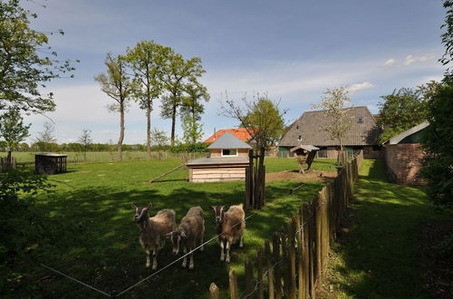 Photo 27 - Stylish Farmhouse in Nieuwleusen With Private Garden and Sauna