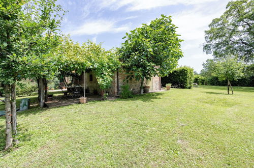 Photo 14 - Studio With Pool And Orchard