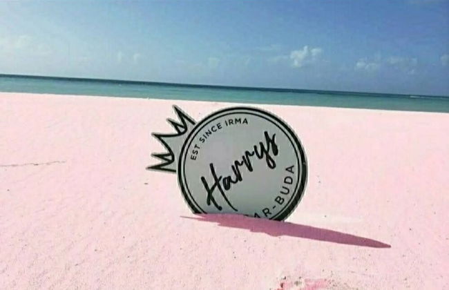 1 Bed Cottage Sleeps 2 - Pet Friendly - Ocean View - Foto 2