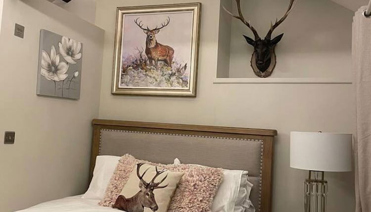 Photo 1 - 5 Bed House - Sleeps 12 - Pets - Parking