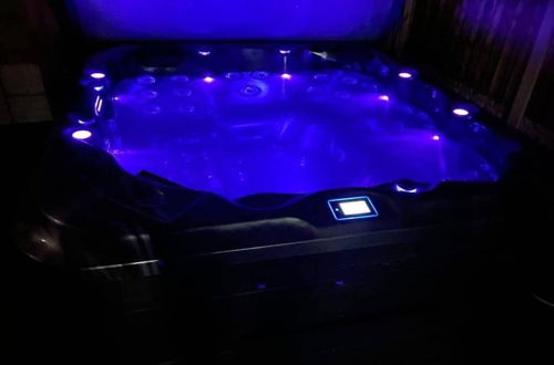 Foto 33 - Private Hot Tub, Sauna, Ice Bath Gym Apartment
