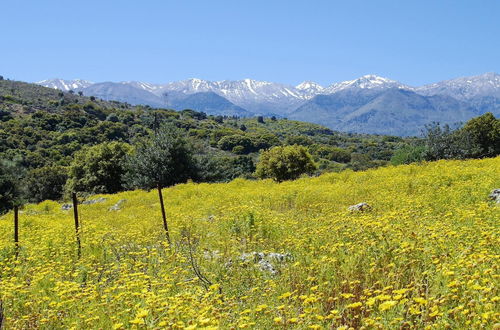 Foto 46 - Villa Amvrosia in Armeni