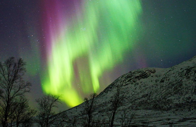 6 Person Holiday Home in Senjahopen-by Traum - Foto 5