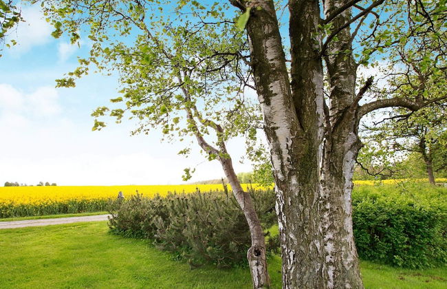 Cushy Holiday Home in Otterup near Sea - Foto 3