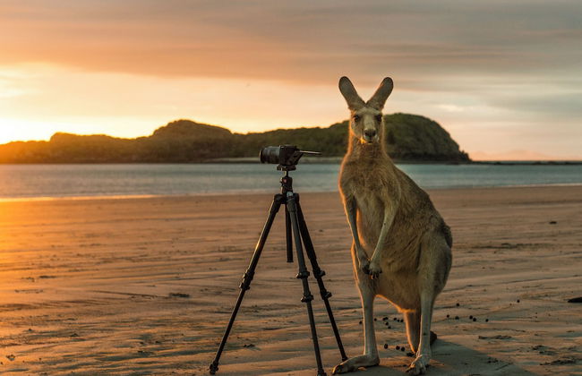 Riviera Mackay - Foto 38